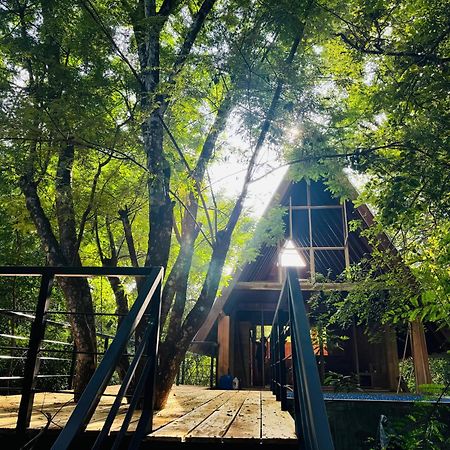 Habarana Tree House Mutu Village מראה חיצוני תמונה