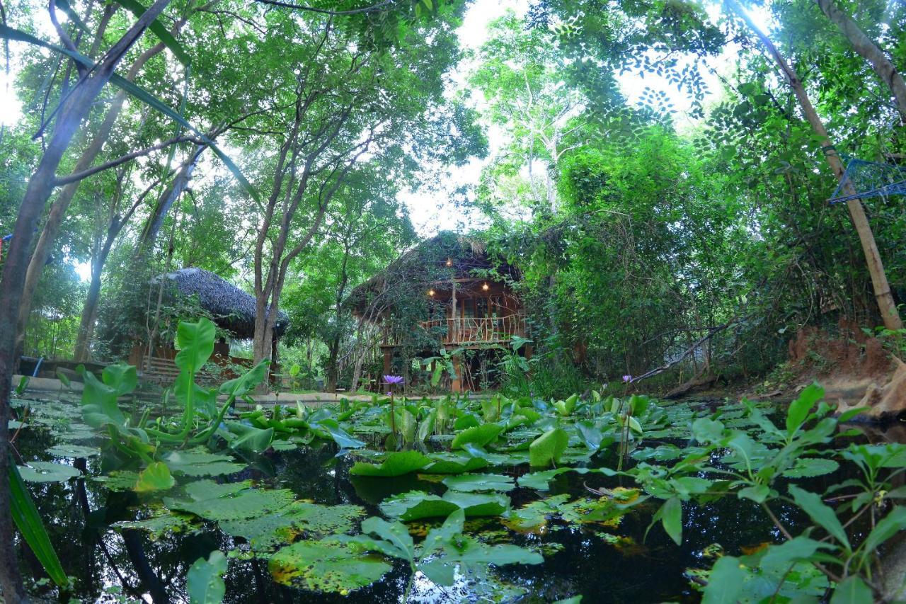 Habarana Tree House Mutu Village מראה חיצוני תמונה